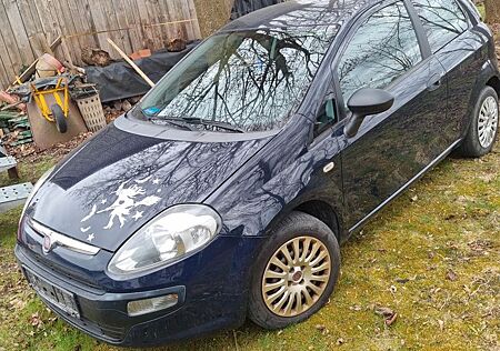 Fiat Punto EVO 1.2 8V Active Active