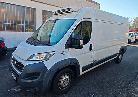 Fiat Ducato Maxi*180 Power*L4H2*TIEFKÜHLER*THERMOKING*