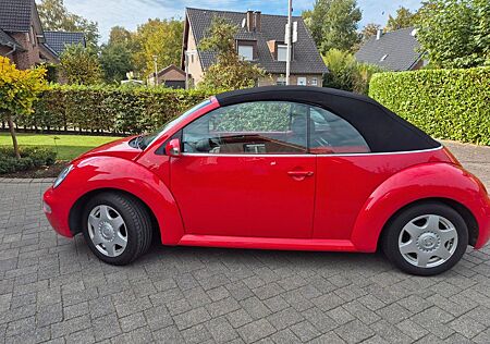 VW Beetle Volkswagen Cabrio