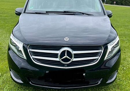 Mercedes-Benz V 250 d 4MATIC AVANT. EDIT/LEDER PANORAMADACH