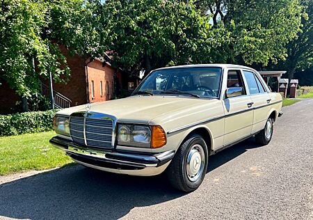 Mercedes-Benz 250 Ungeschweißt/ Vergaser / HU neu aus Sammlung