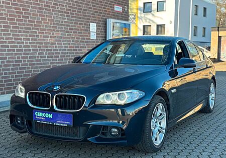 BMW 525D M Sport Paket Optik Navi PDC 8-Fach bereift