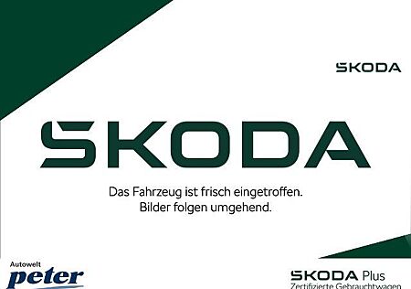 Skoda Superb COMBI TDI DSG 4X4 **AHK*DCC*ACC*COLUMBUS*
