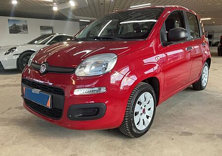 Fiat Panda Pop Klima I.-Hand ! TÜV NEU !