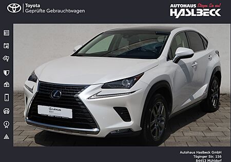 Lexus NX 300 NX 300h E-FOUR Amazing Edition+Navi+Panodach+Saf