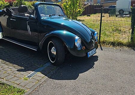 VW Käfer Volkswagen