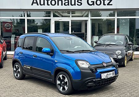 Fiat Panda Pandina Cross, Kurzzulassung