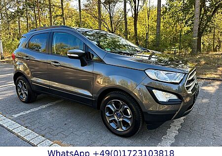 Ford EcoSport 1,0-BENZIN * Titanium*10.000-NETTO*NAVI