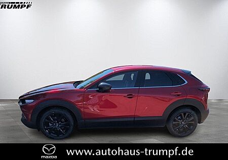 Mazda CX-30 2.5L e-SKYACTIV G 140ps Homura