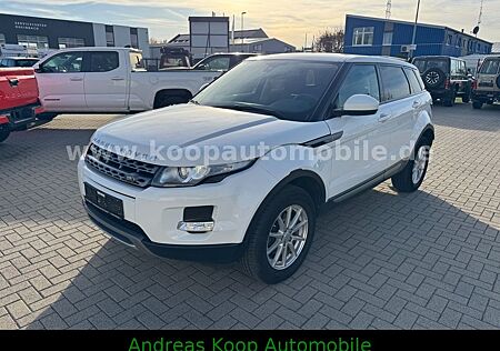 Land Rover Range Rover Evoque Leder SHZ AHK Temp 4x4 1-Hand