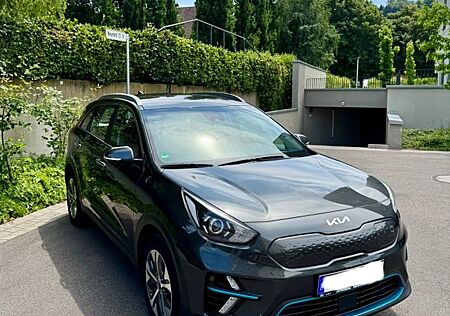 Kia Niro e- Vision, Garantie, 1. Hand, 8-fach bereift