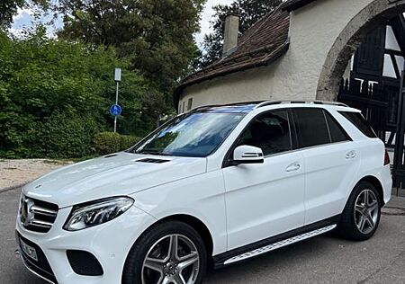 Mercedes-Benz GLE 250 d 4MATIC -AMG-Absolute Vollauslastung