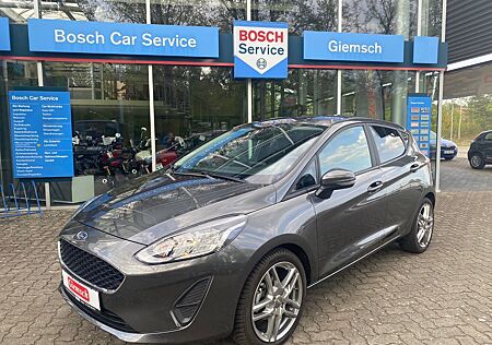 Ford Fiesta Cool & Connect DAB PDC Allwetter ALU