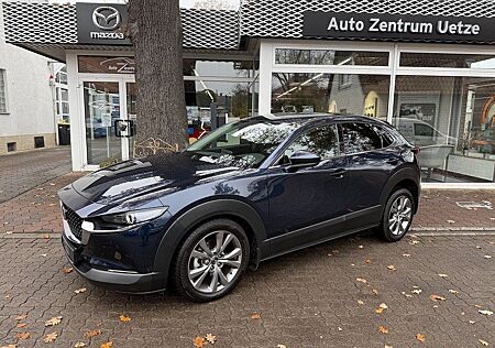 Mazda CX-30 Design/Premium-Paket Bose AHK 360 Kamera e