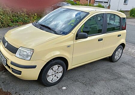 Fiat Panda klein aber fein