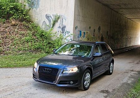 Audi A3 1.6 TDI (DPF) 77kW Ambition Sportback Amb...