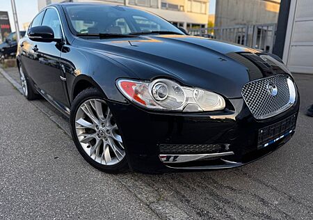 Jaguar XF 5.0 V8 Premium Luxury