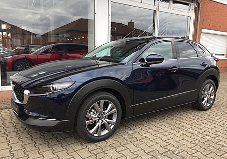 Mazda CX-30 Selection+Des.p.+Act.P.+Bose *Matrix*HUD*A