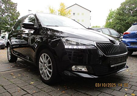 Skoda Fabia Navi, Klimaauto, 5T