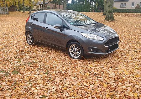 Ford Fiesta 1,0 59kW S/S Trend Trend