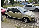 Smart ForFour 1,5 cdi 70kW passion passion