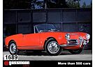 Alfa Romeo Giulia 1600 Spider