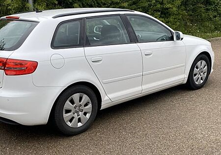 Audi A3 1.6 TDI (DPF) 102g CO2 Attract. Sportb. A...