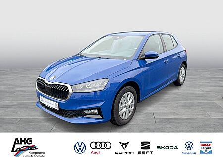 Skoda Fabia 1.0 TSI Selection LED Alufelgen PDC Tempo