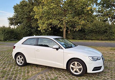 Audi A3 Top gepflegter 1.6 TDI