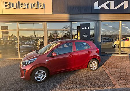 Kia Picanto Edition 7 SHZ Allwetterreifen