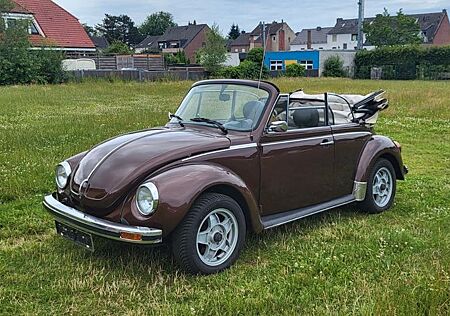 VW Käfer Volkswagen