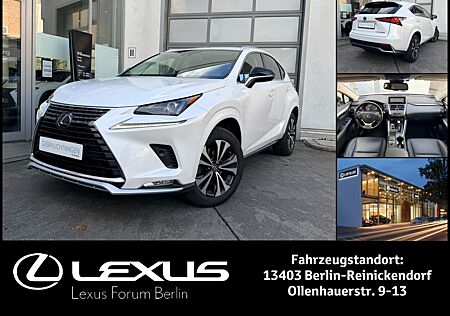 Lexus NX 300 NX300h Style Edition * All-Wetter-Reifen*