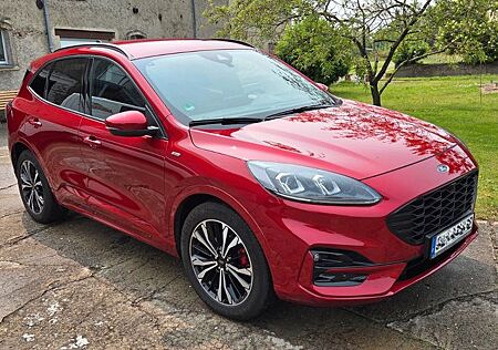 Ford Kuga 2.0 EcoBlue Hybrid ST-Line ST-Line