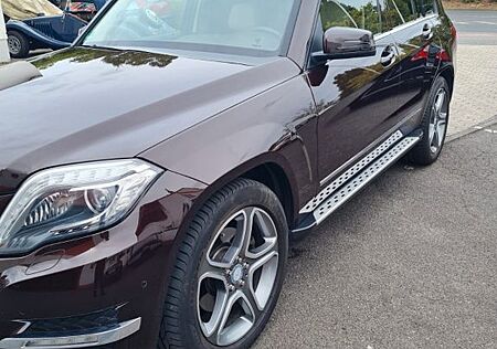 Mercedes-Benz GLK 220 CDI 4MATIC BlueEFFICIENCY -