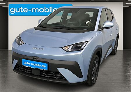 BYD DOLPHIN Surf Comfort SHZ | ACC | KAMERA | LEDER