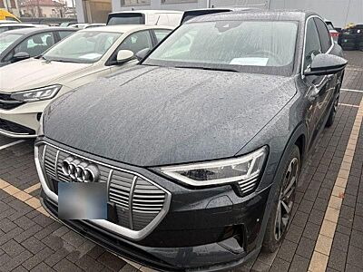 Audi E-TRON SPORTBACK 55 MATRIX/ACC/KEYLESS/PANO/360°