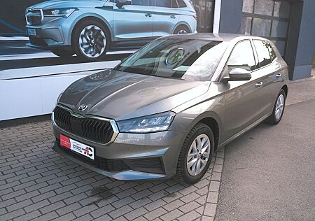 Skoda Fabia Active 1.0 TSI LED Klima Sitzheizung