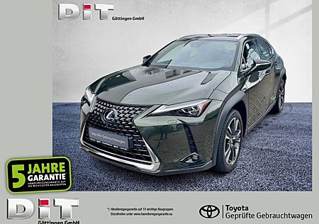 Lexus UX 250h Luxury Line ACC FLA HUD SpurH Leder LM