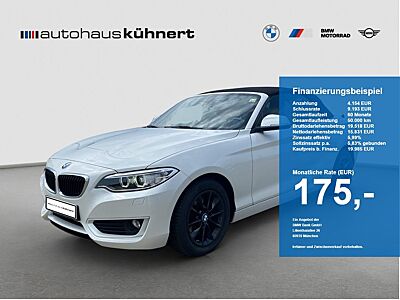 BMW 220d Cabrio Xenon H&K NaviProf Tempo PDC Memory