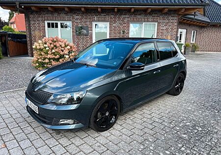 Skoda Fabia 1.2l TSI *DSG*Joy*1HD*Scheckheft*SHZ*NAVI*