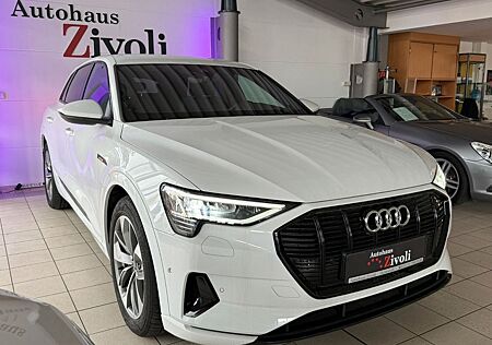Audi e-tron 55 S-LINE/QUATTRO/VIRTUELL/RFK/LEDER