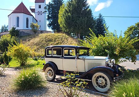 Ford Andere