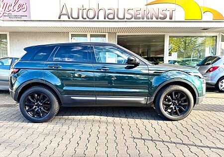 Land Rover Range Rover Evoque Pure 4x4 *Panorama+PDC+AHK*