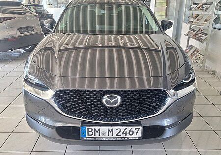 Mazda CX-30 2.5L e-SKYACTIV G 140ps Sondermodell Homur