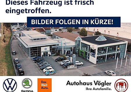 Renault Megane E-Tech gebraucht kaufen Renault Megane E-Tech Electric Techno