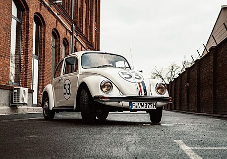 VW Käfer Volkswagen