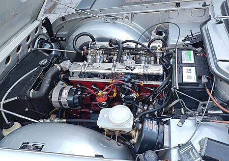 Triumph TR5
