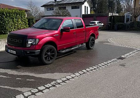 Ford F 150 5,4L V8 + LPG Prins Anlage