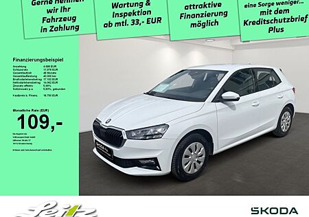 Skoda Fabia 1.0 TSI Selection *LED*PDC*SMART LINK*SITZ