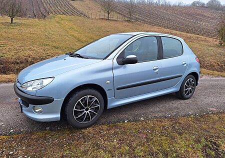 Peugeot 206 gebraucht kaufen Peugeot 206 1.4 Grand Filou 75 Grand Filou Cool